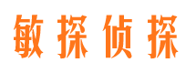 马鞍山市侦探调查公司